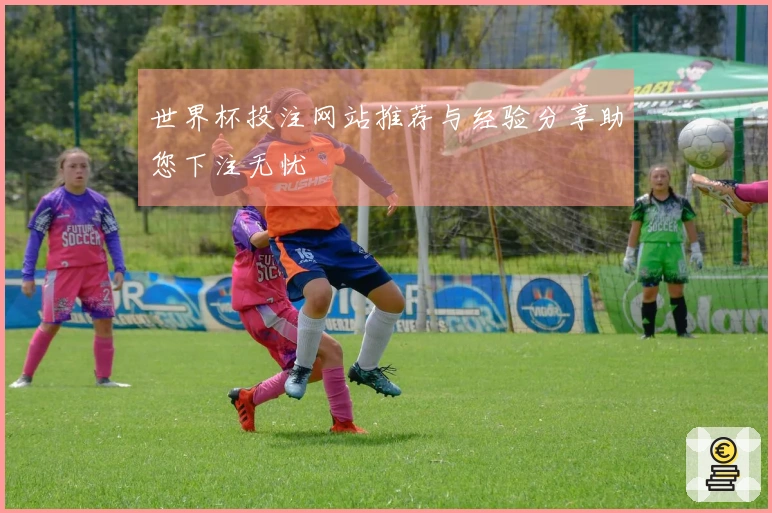 世界杯投注网站推荐与经验分享助您下注无忧