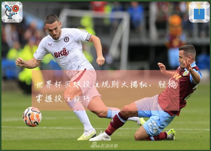 世界杯买球投注规则大揭秘，轻松掌握投注技巧