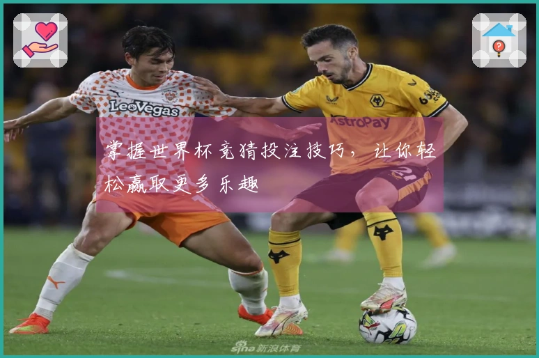 掌握世界杯竞猜投注技巧，让你轻松赢取更多乐趣