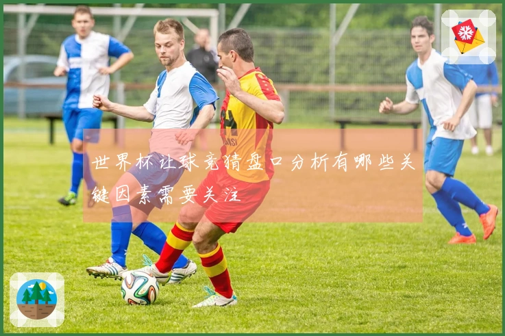 世界杯让球竞猜盘口分析有哪些关键因素需要关注