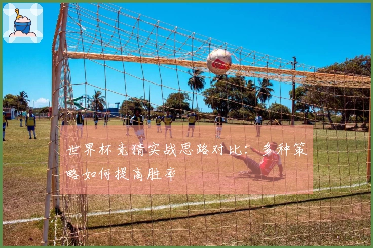 世界杯竞猜实战思路对比：多种策略如何提高胜率