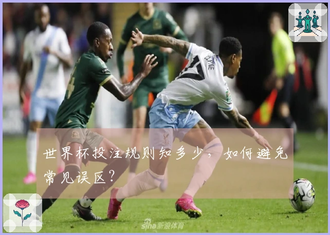 世界杯投注规则知多少，如何避免常见误区？