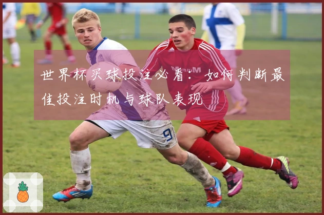 世界杯买球投注必看：如何判断最佳投注时机与球队表现