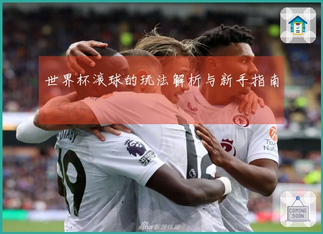 世界杯滚球的玩法解析与新手指南