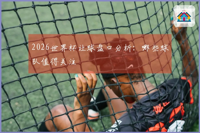 2026世界杯让球盘口分析：哪些球队值得关注