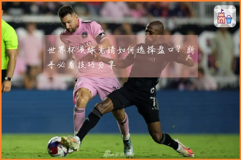 世界杯滚球竞猜如何选择盘口？新手必看技巧分享