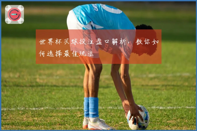 世界杯买球投注盘口解析，教你如何选择最佳玩法