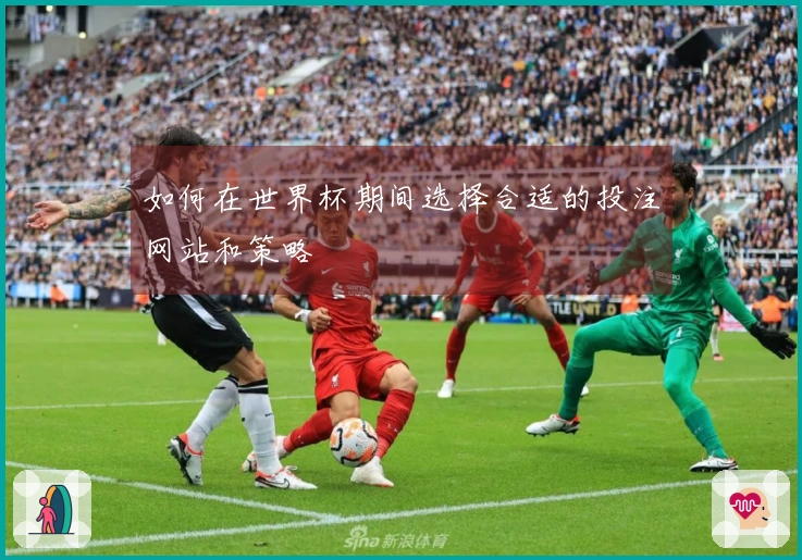 如何在世界杯期间选择合适的投注网站和策略