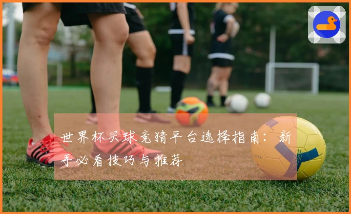 世界杯买球竞猜平台选择指南：新手必看技巧与推荐