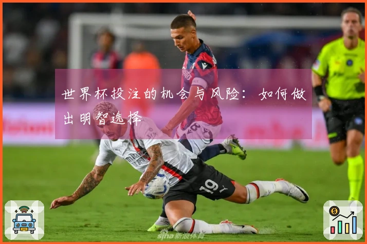 世界杯投注的机会与风险：如何做出明智选择