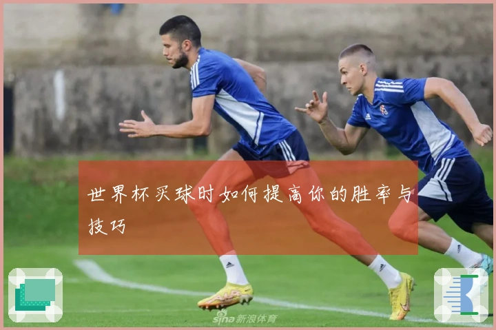 世界杯买球时如何提高你的胜率与技巧