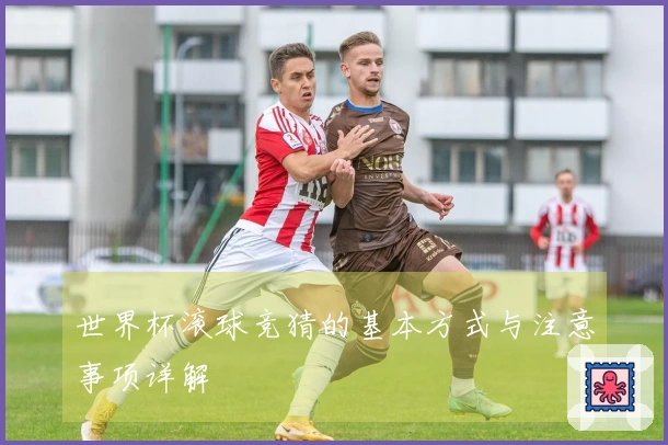 世界杯滚球竞猜的基本方式与注意事项详解